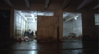 İzmir'de AT ETİ Operasyonu Açıklaması 14 AT Kesilmiş Halde Bulundu