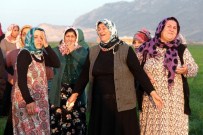 Suriye'de Savaştan Kaçtı, Adana'da İntihar Etti