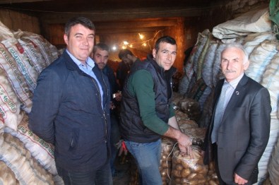 Terör, Patates Üreticilerini Vurdu