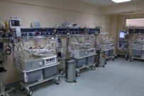 Yeni Doğan Bebeklere Kritik Tarama