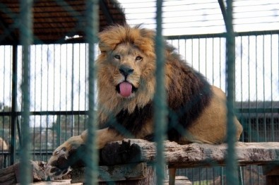 10 Yılda 2.5 Milyon Ziyaretçi