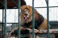 10 Yılda 2.5 Milyon Ziyaretçi