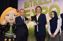 ETNOBOTANIK - Ilgaz EXPO 2016 Fuarında İç Anadolu Bölgesi'ni Temsil Edecek