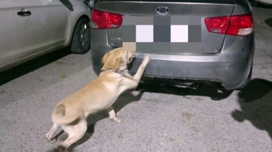 (Özel) İzmir Polisinden Zehir Saçanlara Rekor Operasyon