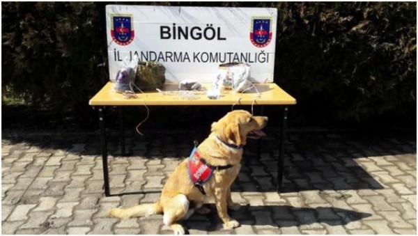 PKK'nın deposuna baskın! Patlayıcı düzeneği bulundu