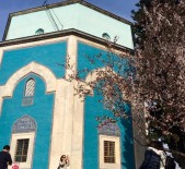 TOPHANE - Bahar Çiçekleri Fotoğraf Sanatçılarını Coşturdu