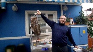 Mudanya'da 8 Kiloluk Fener Balığı Çıktı