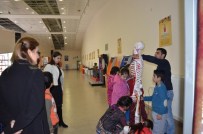 BİLİMSEL DENEY - Öğrenciler, Deney Yaparak Öğrendi