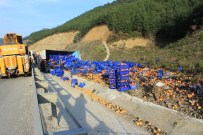 İÇMELER - Osmaneli'de Meyve Yüklü Kamyon Devrildi