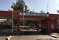 ZİYA GÖKALP - Yurt Bahçesinde Temizlik Yapan İşçi Yaralandı