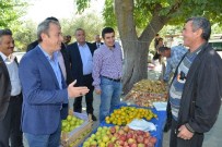 CAHİT ÖZKAN - Denizlili Çiftçilere Destek Ödemeleri Başladı