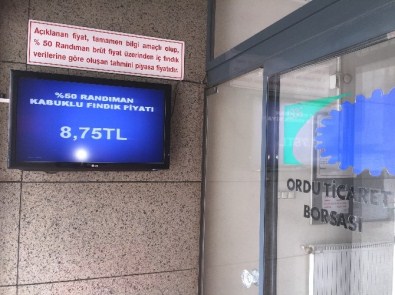 Fındıkta Fiyat Şoku