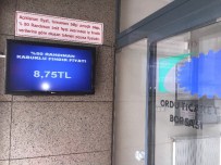 Fındıkta Fiyat Şoku