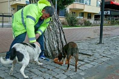 Genç İş Adamlarından Örnek Davranış