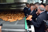 İSMAİL TEPEBAĞLI - Halk Ekmek Fabrikası Hizmete Girdi