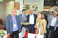 FATMA ŞAHIN - İhracatçılar Dubai'ye Umutlu Gitti Mutlu Döndü