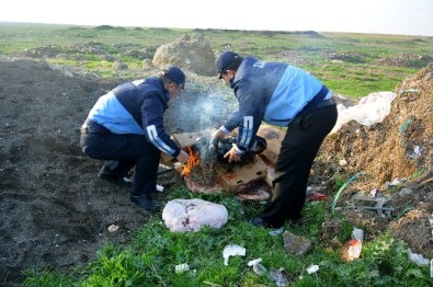 İmal Tarihi Geçmiş Etler İmha Edildi