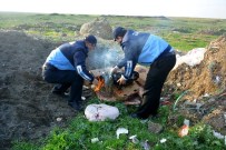 İmal Tarihi Geçmiş Etler İmha Edildi