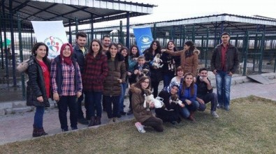 Karahisar Gençlik Merkezi'nden Hayvan Barınağına Ziyaret