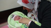 MÜNEVVER - Tatvan'ın '29 Şubat Bebeği' 3 Buçuk Kilo Olarak Dünyaya Geldi