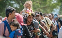 ORGAN KAÇAKÇILIĞI - Almanya'da 5 Bin Mülteci Kayıp !