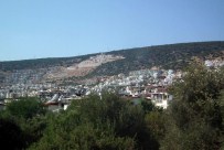 Barış, 'Aydın'ın Verimli Arazileri Yok Ediliyor'