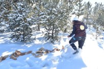 KENT ORMANI - Ertansa'dan Sosyal Sorumluluk Örneği!