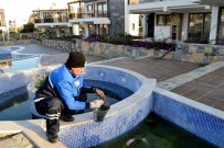 ŞARK ÇıBANı - Haşere Timleri Yoğun Mesaide
