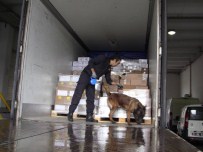 MEHMET ALI ÖZTÜRK - Narkotik Köpeği Donna Sarp'ta Kaçakçılara Geçit Vermiyor