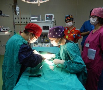 OMÜ Hayvan Hastanesi'nde 2 Bin 35 Hayvan Tedavi Edildi