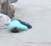 Sokak ortasında çifte infaz!