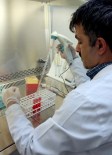 PATENT BAŞVURUSU - ÇÜ'de Bilim İnsanları Yapay Kan Üretti