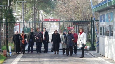 Edirne'yi Yeniden Keşfettiler