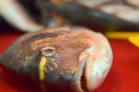 'Hamsi Kulağına Kar Suyu Kaçmadan Karadeniz'i Terk Etti'