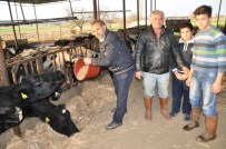 SEKTE - Süt Üreticilerine Yem Ve Süt Darbesi