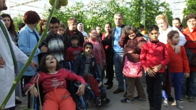 Burhaniye'de Engelli Çocuklar Sera İle Tanıştı