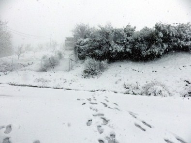 Çanakkale Beyaza Büründü