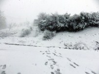 Çanakkale Beyaza Büründü