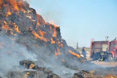 Çiftlikte Çıkan Yangında 5 Bin Balya Saman Kül Oldu