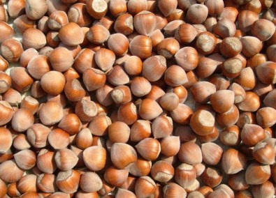 Üreticiye 'Fındığı Satmayın' Çağrısı