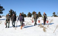 ÇAKAL - Yüksek Rakımlardaki Yaban Hayvanlarına Yem Desteği