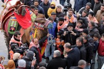 ÇıNARLıK - Bu Da Deve Güzeli
