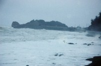 Dev Dalgalar Sahili Dövdü