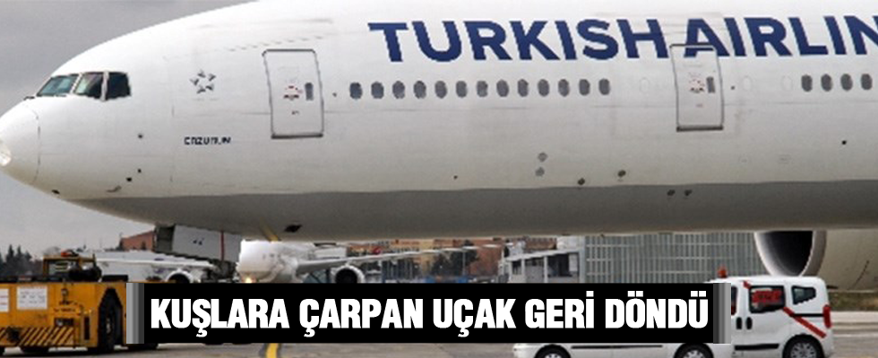 Kuşlara çarpan THY uçağı geri döndü