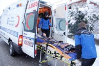 Büyükşehir'in Ambulansları 52 Bin Hasta Taşıdı