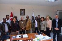 ZIMBABWE - Maski'nin Konuğu Zimbabwe