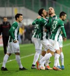 Timsah Kimlik Değiştirdi