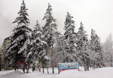 Ağrı'da 225 Köy Yolu Ulaşıma Kapandı