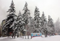 Ağrı'da 225 Köy Yolu Ulaşıma Kapandı