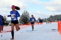 BEKIRHAN - Avrupa'nın Şampiyonları Ağrı'dan